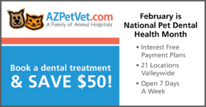 National Pet Dental Health Month is Here