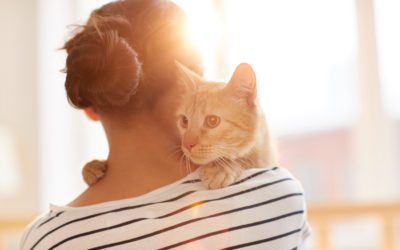 Five Ways Pets Can Help With Stress