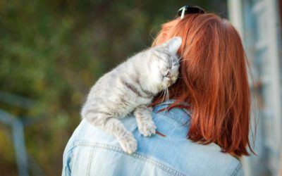 Do Cats Get Attached to Their Owners?