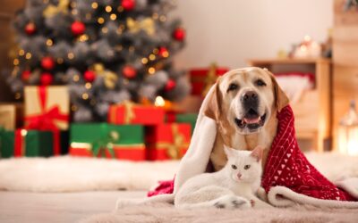 Your Go-To Guide For Safely Celebrating Holidays With Your Pets
