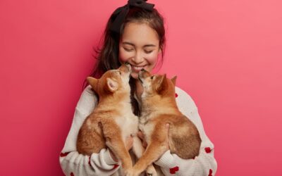 5 Ways to Show Your Pet Some Extra Appreciation This Month