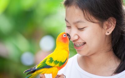 5 Things to Know When Considering Getting a Pet Bird