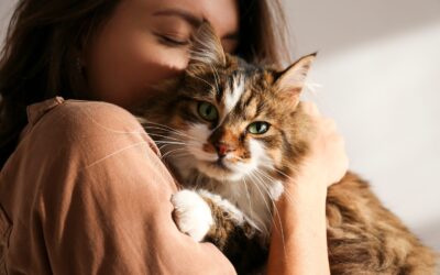 Why We Are Thankful for Pets