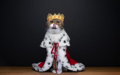 Five Famous Cats in History