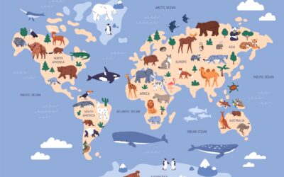 Animals Around the Globe Series