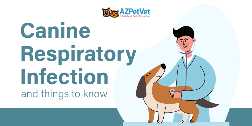Canine Respiratory Infection