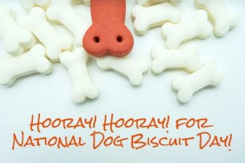 In Celebration of National Dog Biscuit Day!