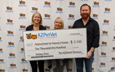 Holiday Drive Results – Helping Hands for Homeless Hounds