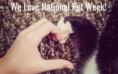 7 Tips for Celebrating National Pet Week