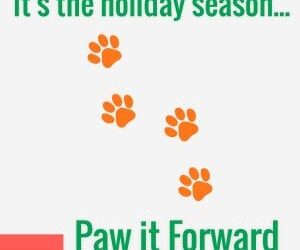 Paw it Forward – Support Arizona’s Shelters & Rescues
