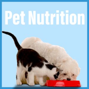 Pet Nutrition Blog