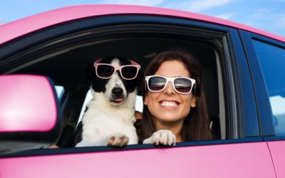 Traveling With Your Dog: Packing Tips & Road Trip Essentials