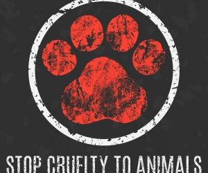 Help Prevent Animal Abuse/Cruelty – Know the Signs