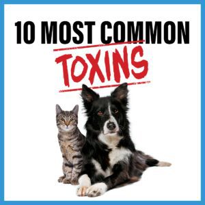 Toxins Blog 01