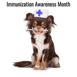 Pets need vaccinations