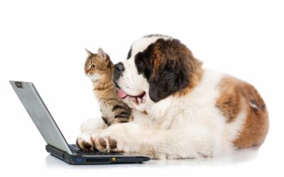 Social Petworking Month: Networking for Animals