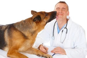 doc and dog