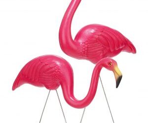 Pink Flamingo Day (May 29)
