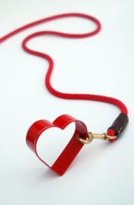 heart and leash