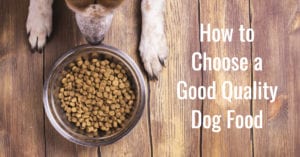 How To Choose a Quality Dog Food, Knowing What’s Inside