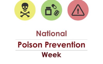 Pet Poison Prevention – Keeping Your Pet Safe