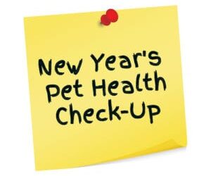 New Year Pet Health Check-Up