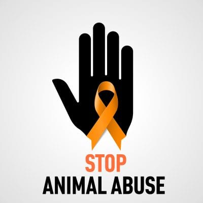Prevention of Cruelty to Animals Month - AZPetVet